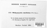 Fusicladiella melaena image